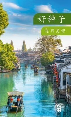 Die gute Saat Chinesisch - Dauerbuch-Kalender